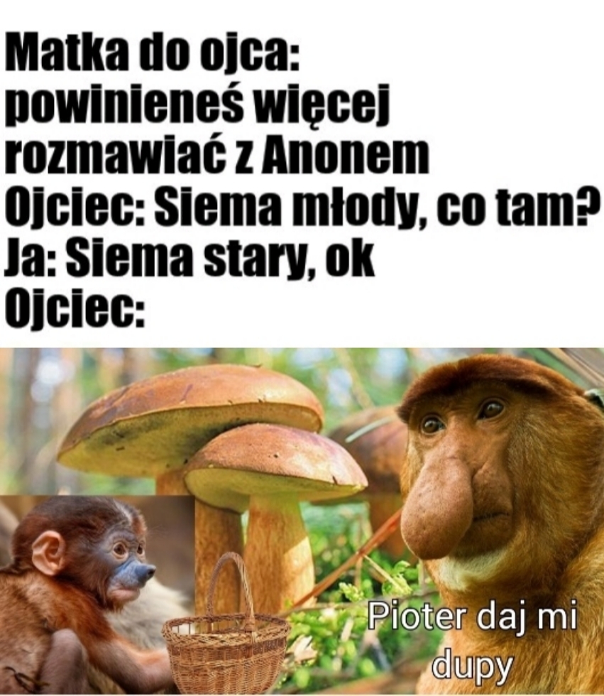 Dzieło sztuki #16473