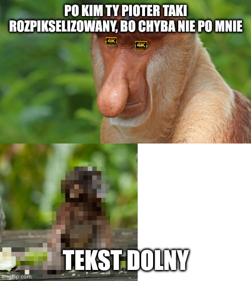 Dzieło sztuki #16485