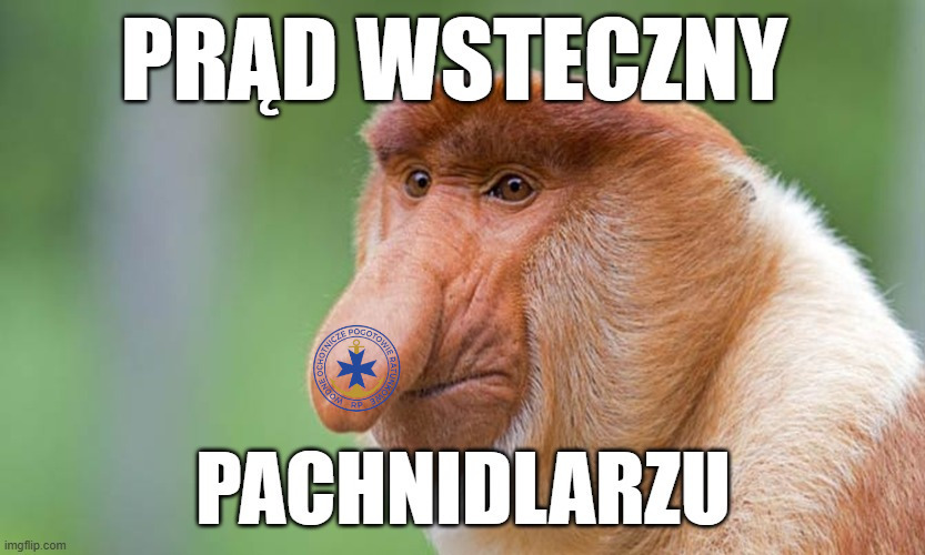 Dzieło sztuki #16515