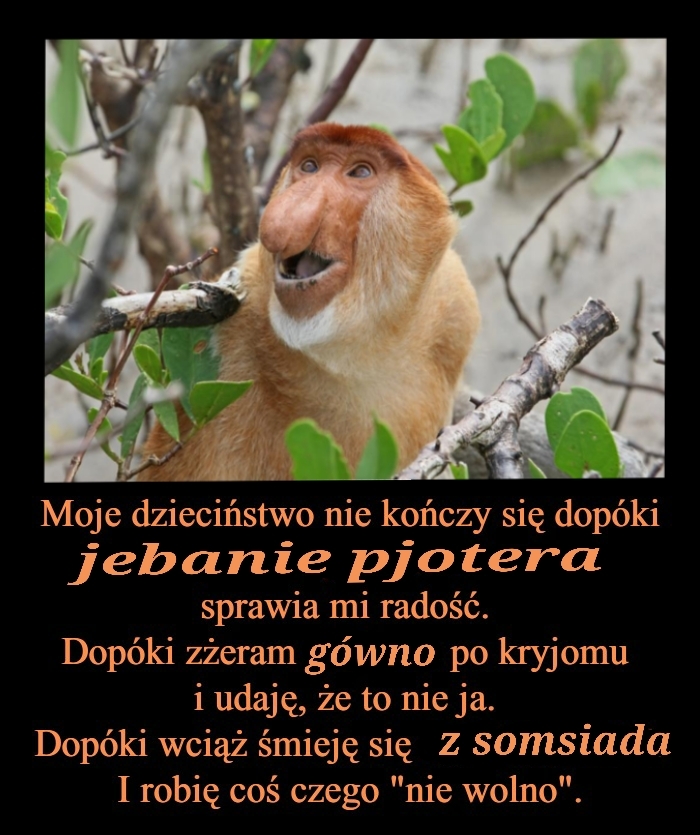 Dzieło sztuki #16516