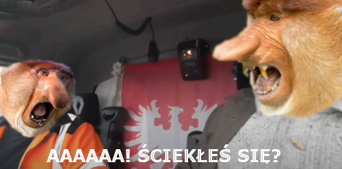 Dzieło sztuki #16529