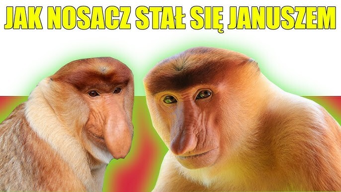 Dzieło sztuki #16568