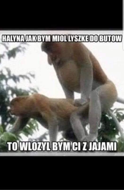 Dzieło sztuki #16593