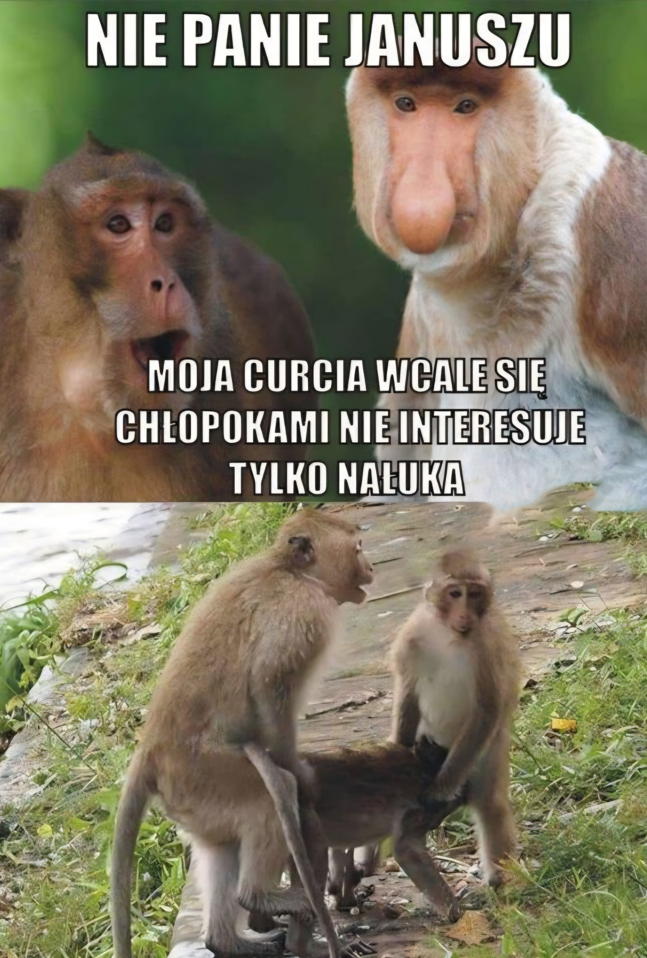 Dzieło sztuki #16595