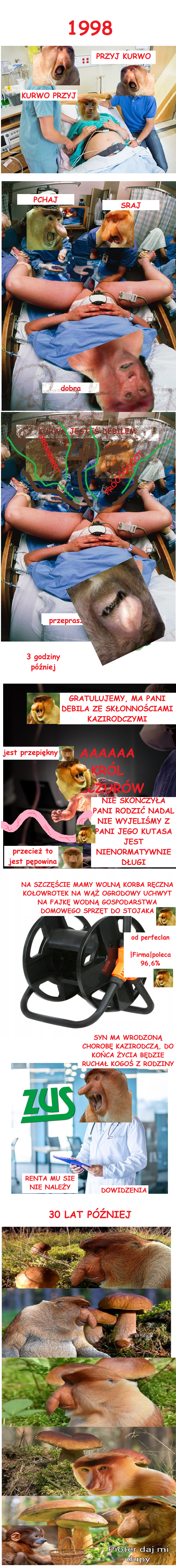 Dzieło sztuki #16617