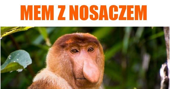 Dzieło sztuki #16639
