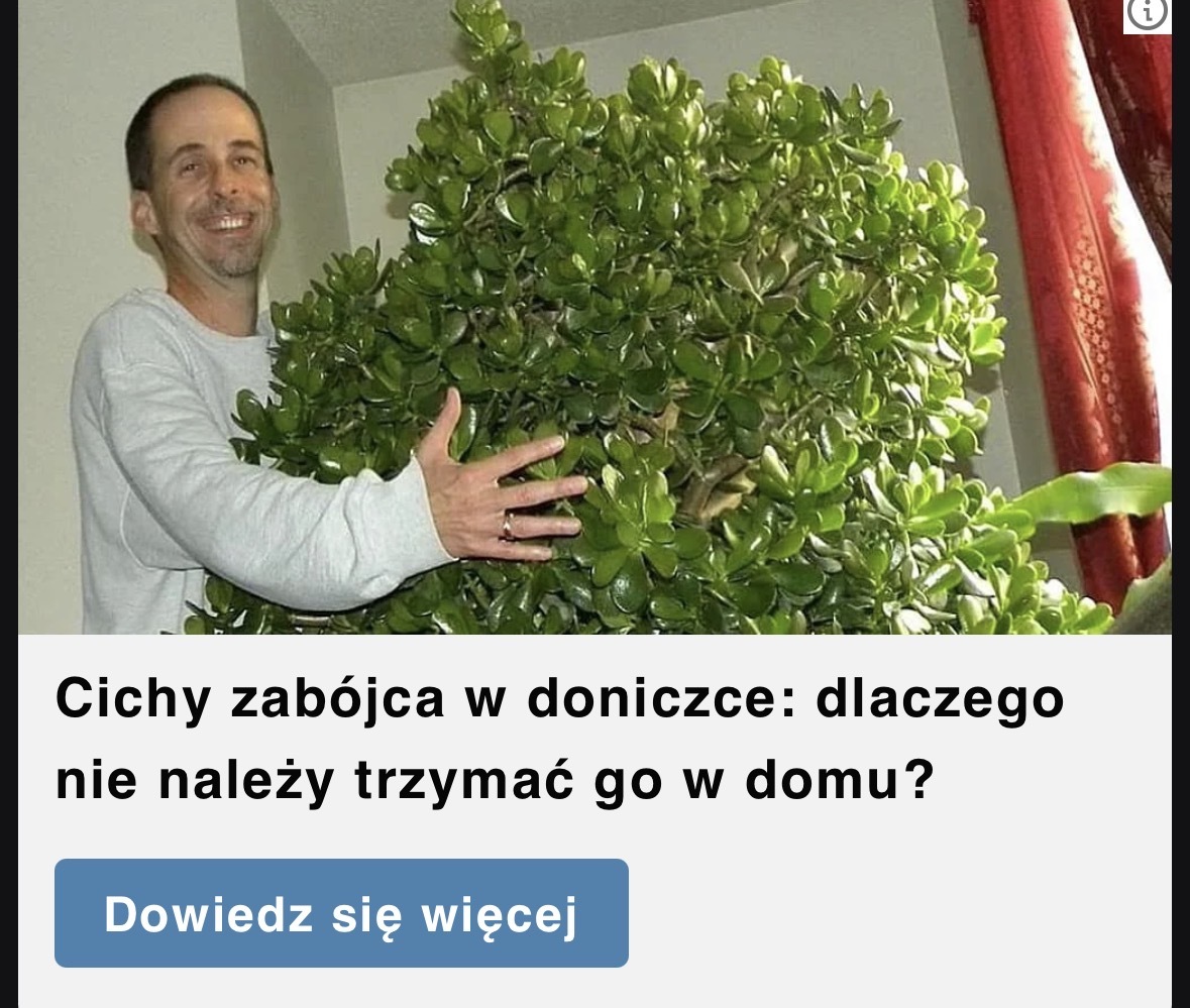 Dzieło sztuki #16695