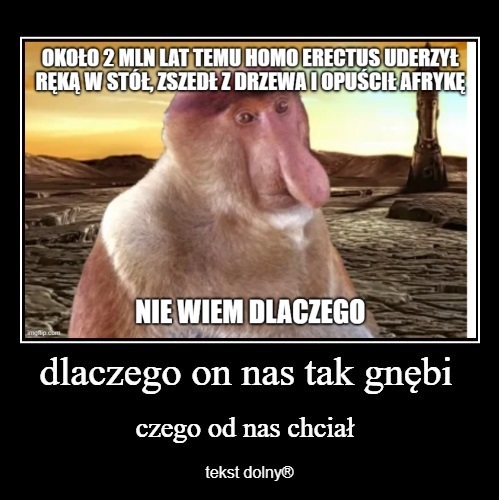 Dzieło sztuki #16730