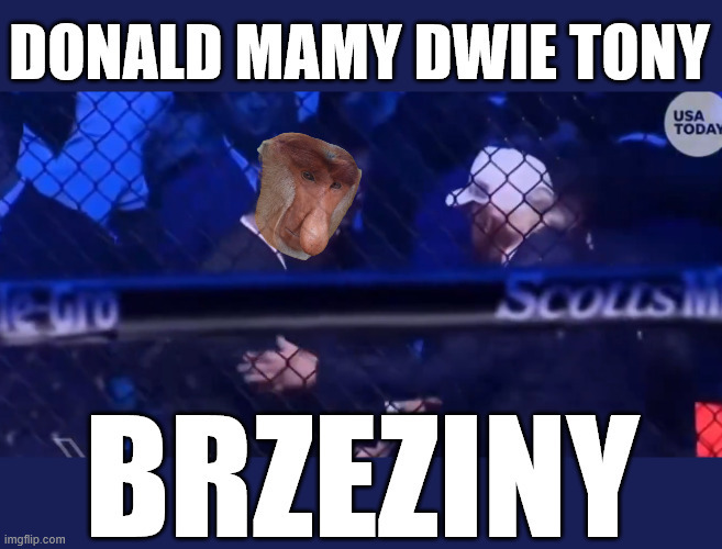 Dzieło sztuki #16739