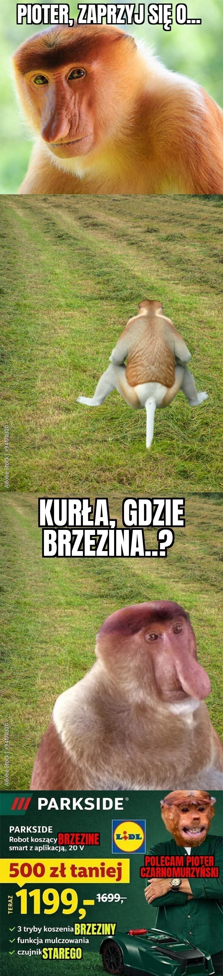 Dzieło sztuki #16755