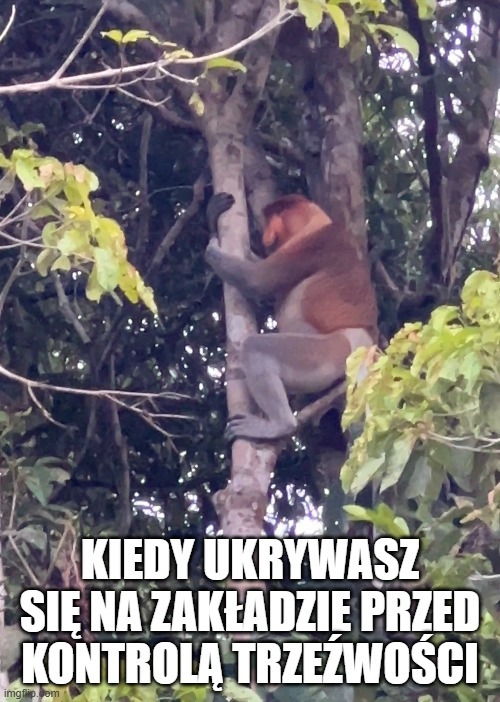 Dzieło sztuki #16769