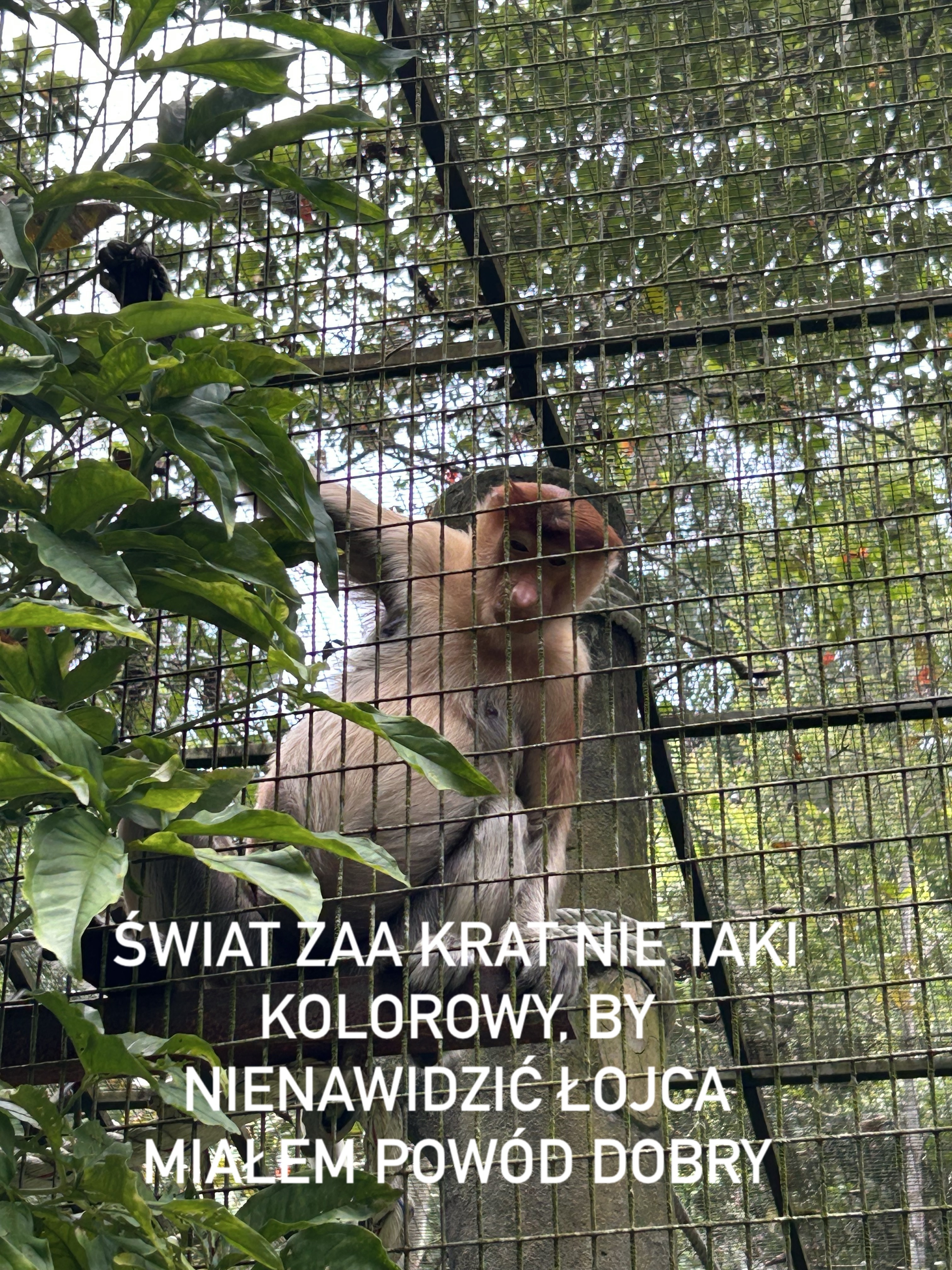 Dzieło sztuki #16774