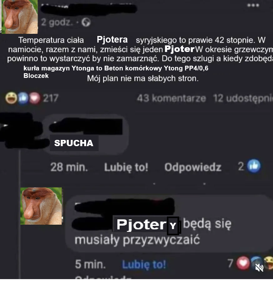 Dzieło sztuki #16796