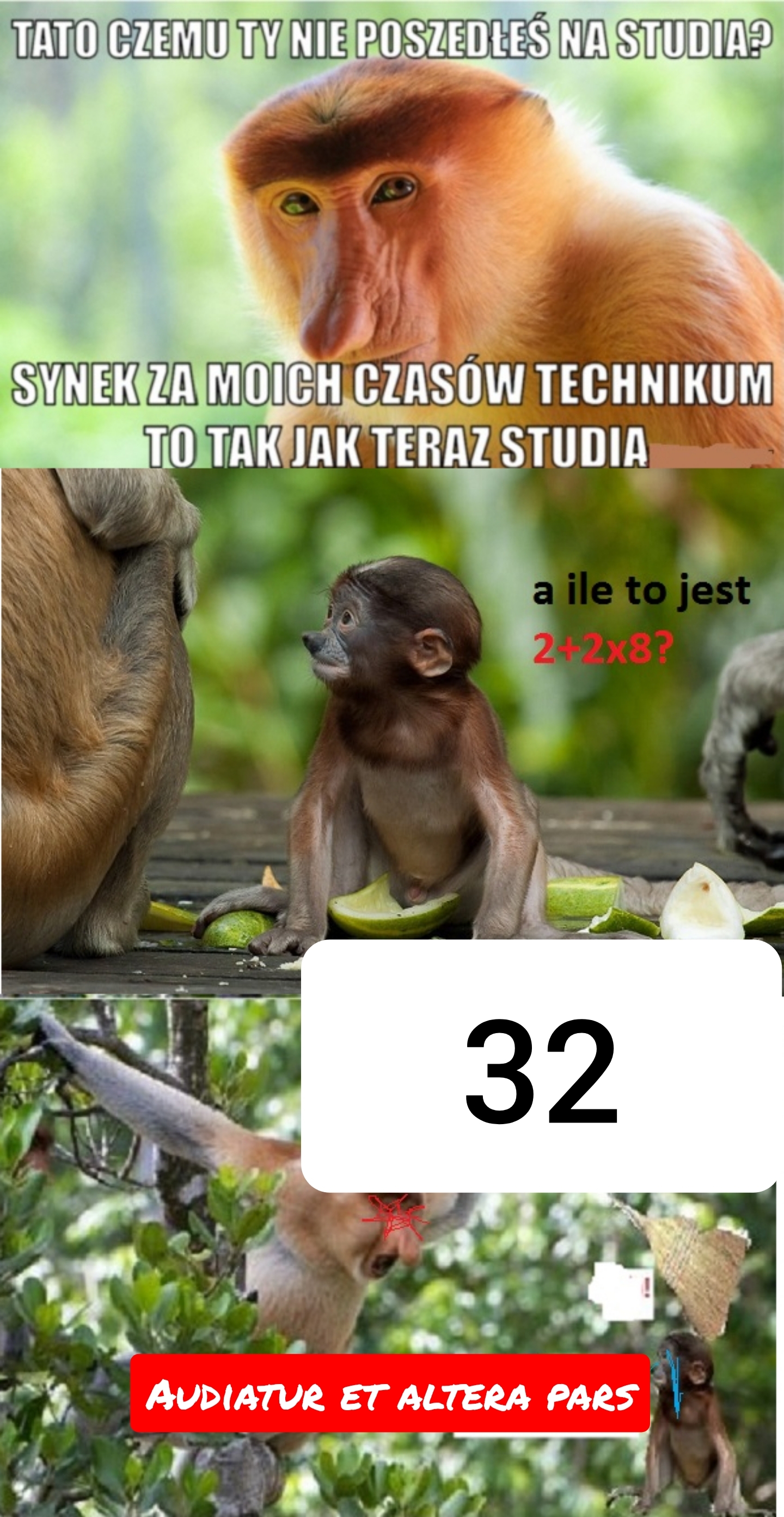 Dzieło sztuki #16816