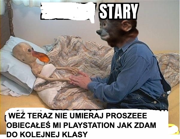 Dzieło sztuki #16821