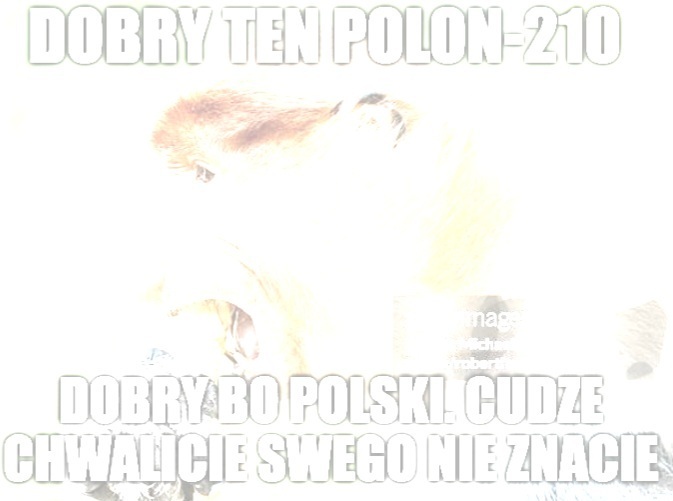 Dzieło sztuki #16825