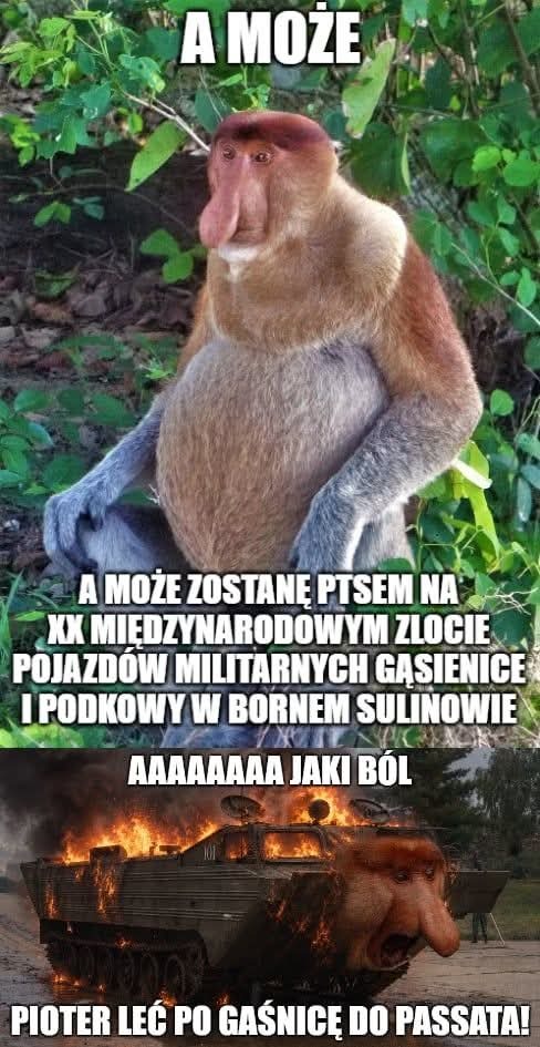 Dzieło sztuki #16836
