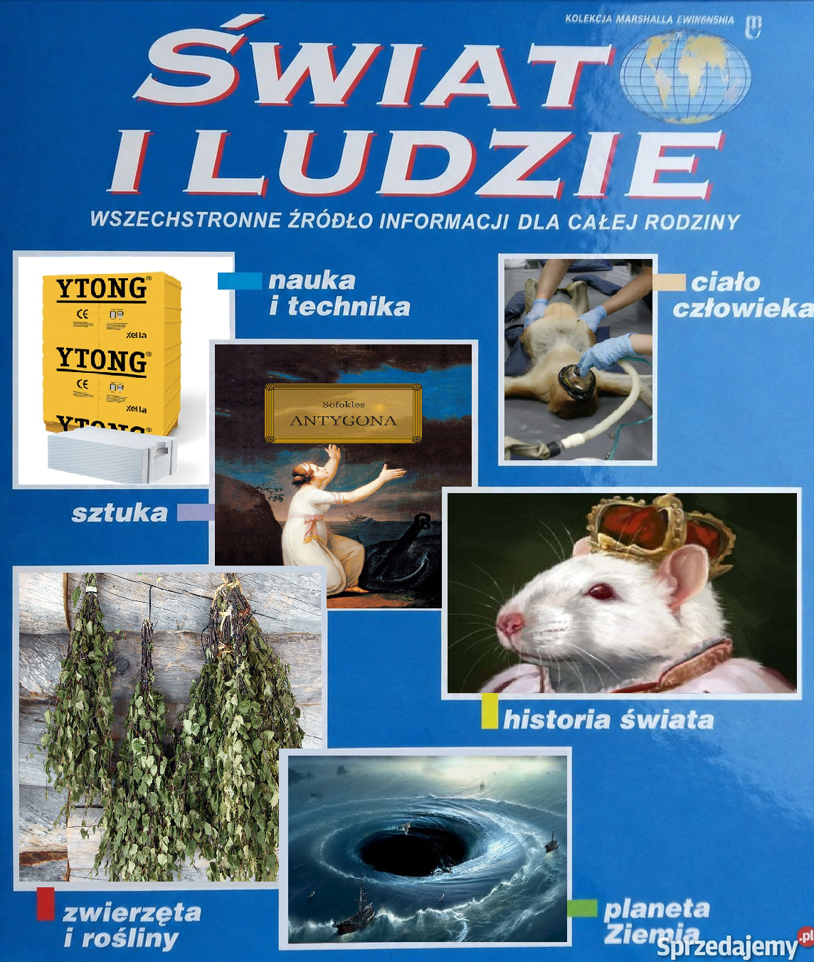 Dzieło sztuki #16837