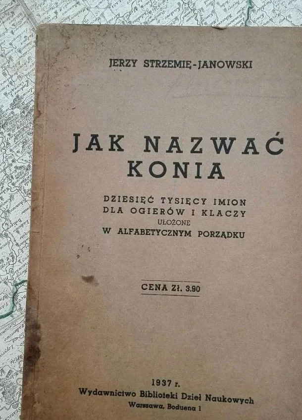Dzieło sztuki #16843