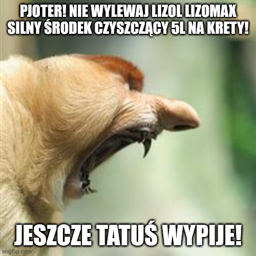 Dzieło sztuki #16852