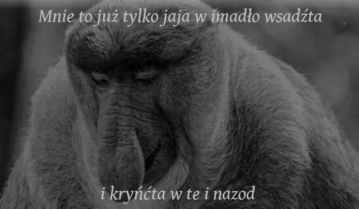 Dzieło sztuki #16868