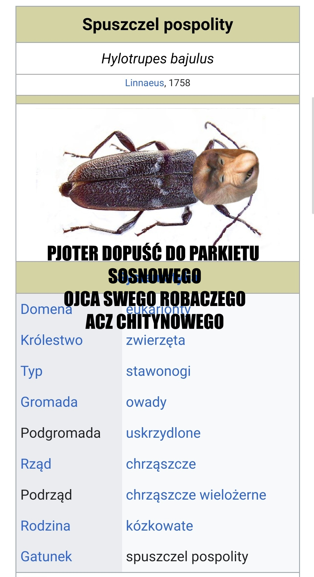 Dzieło sztuki #16873