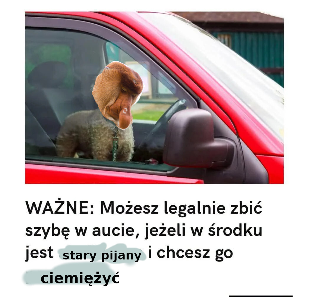Dzieło sztuki #16874