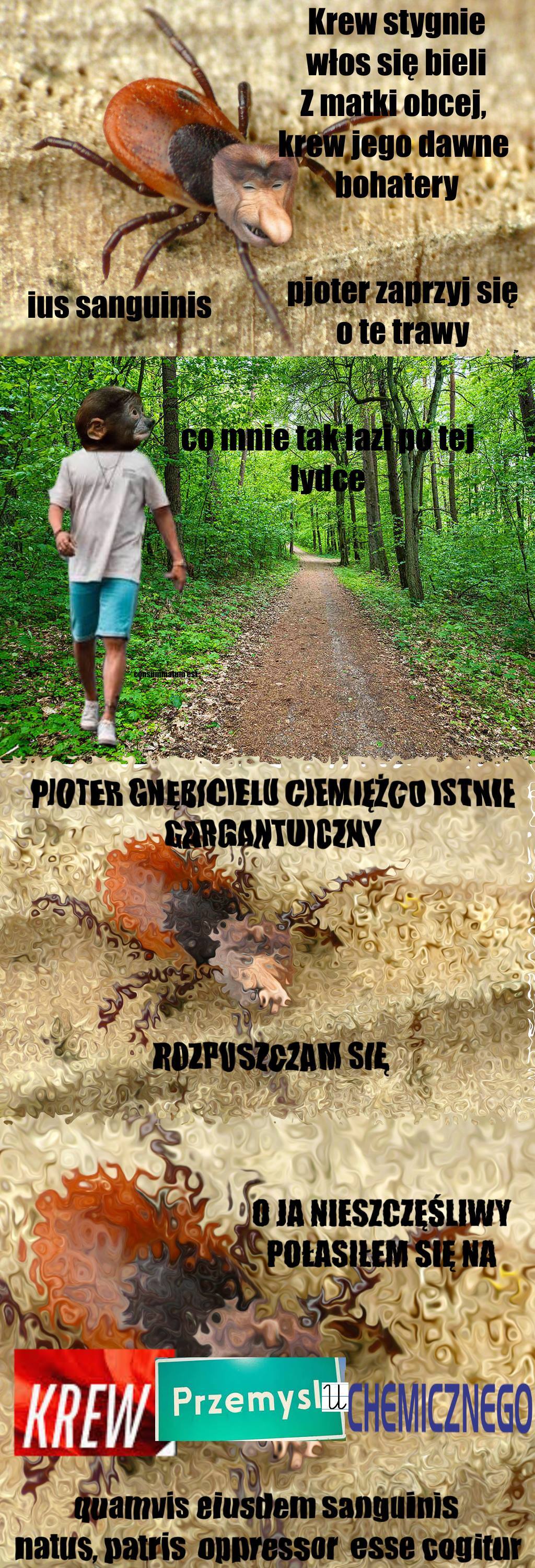 Dzieło sztuki #16885