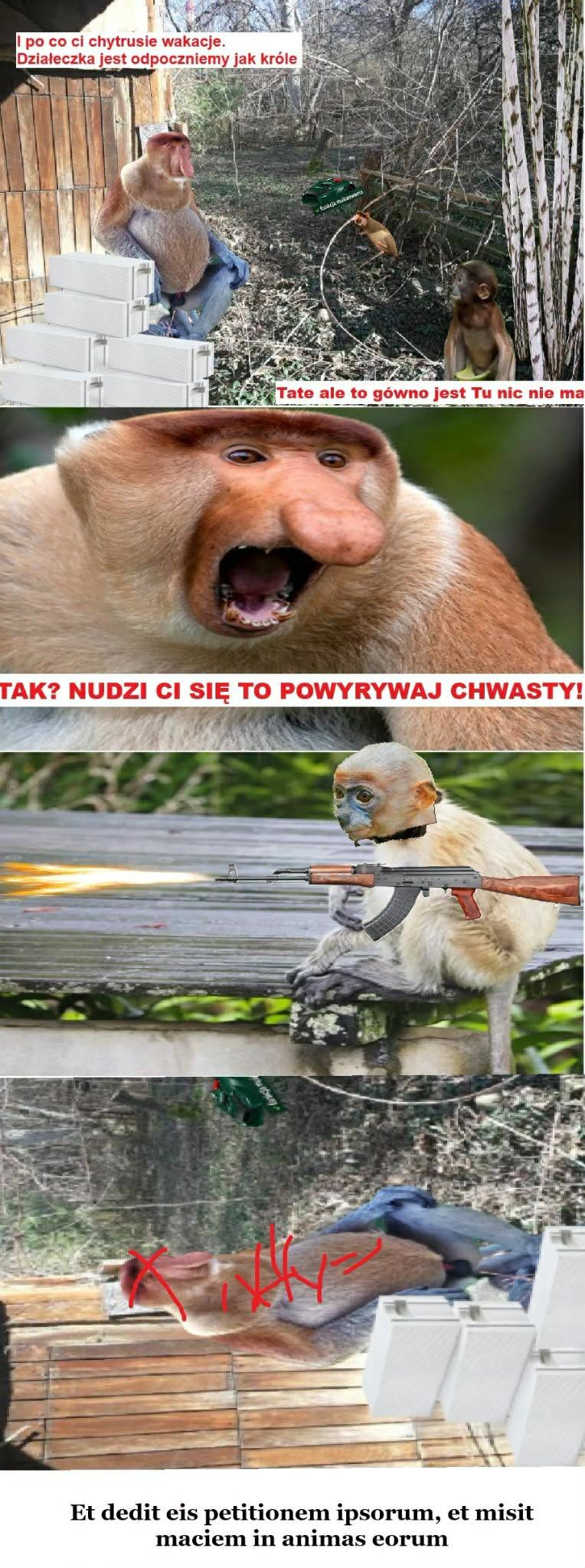 Dzieło sztuki #16896