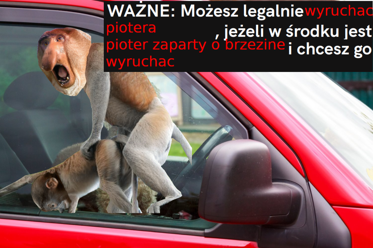 Dzieło sztuki #16902