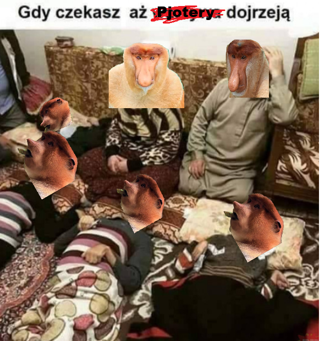 Dzieło sztuki #16903