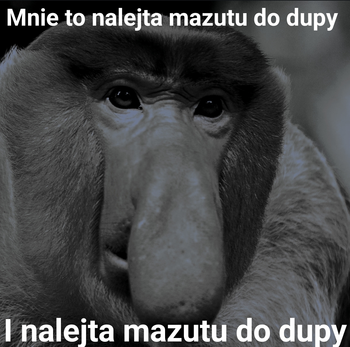 Dzieło sztuki #16919