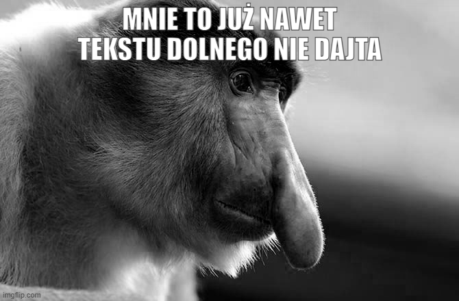 Dzieło sztuki #16922