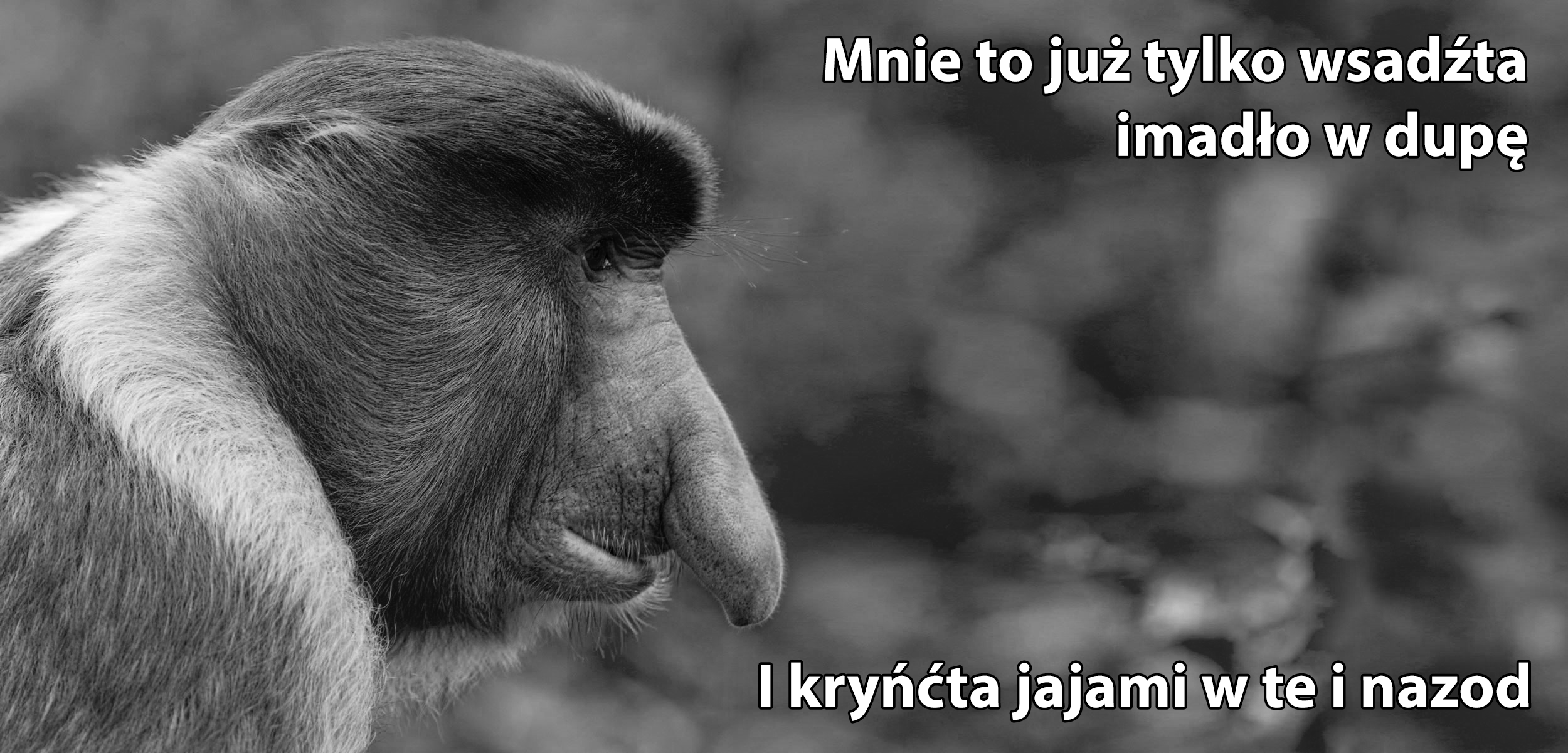 Dzieło sztuki #16937