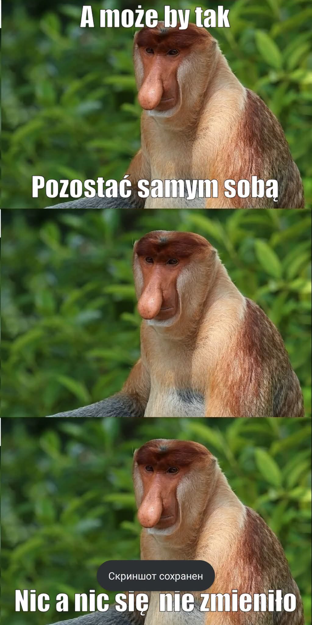 Dzieło sztuki #16948