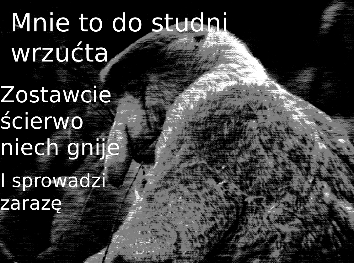 Dzieło sztuki #16952