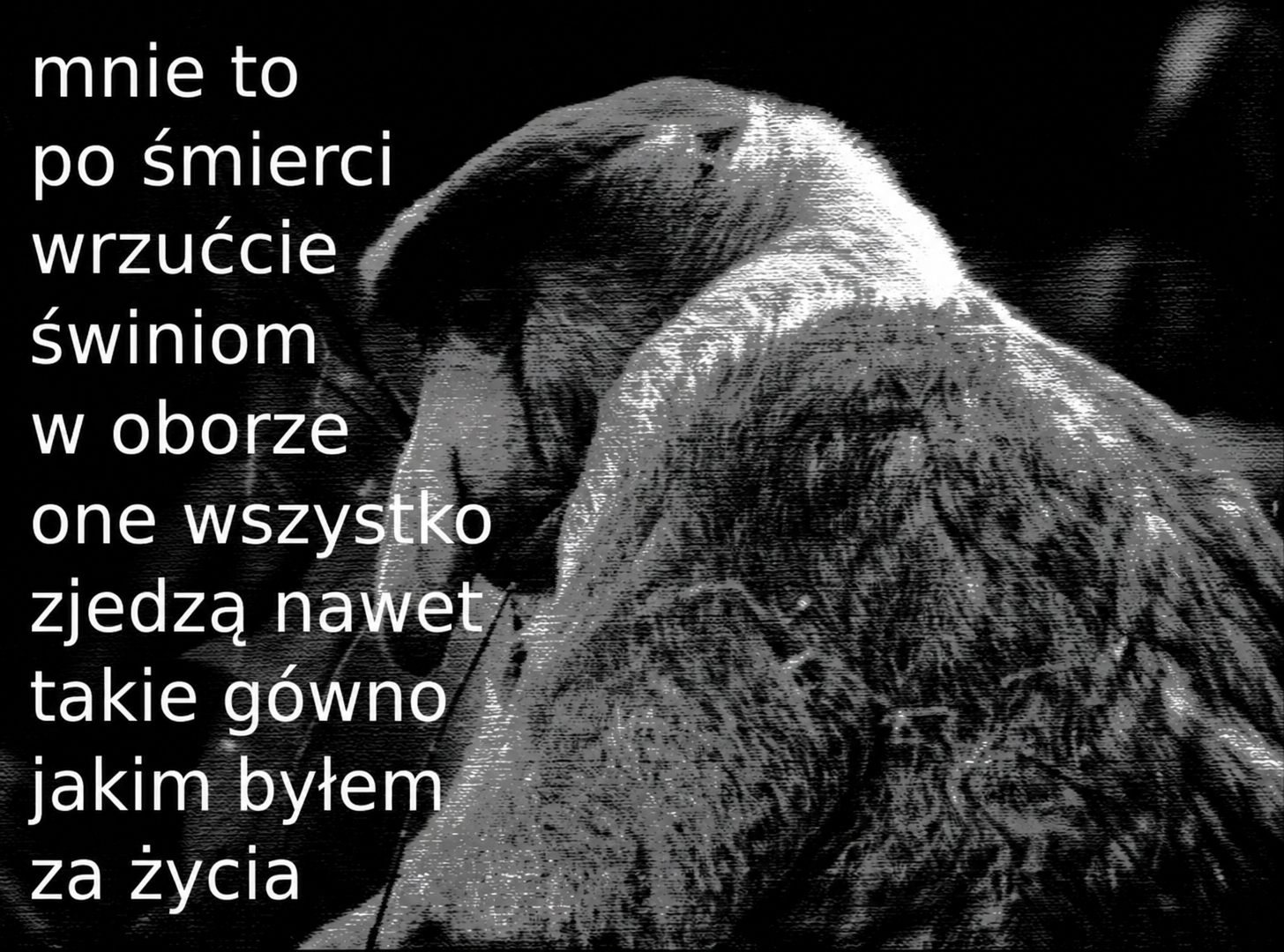 Dzieło sztuki #16959