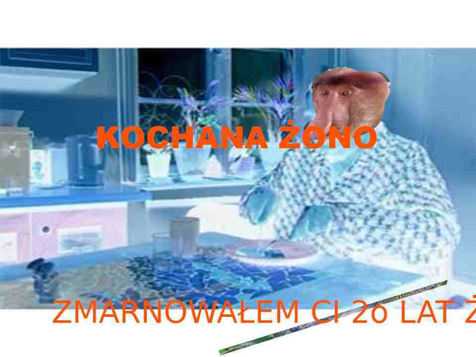 Dzieło sztuki #16965