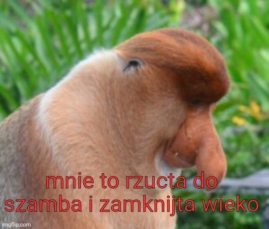 Dzieło sztuki #16969