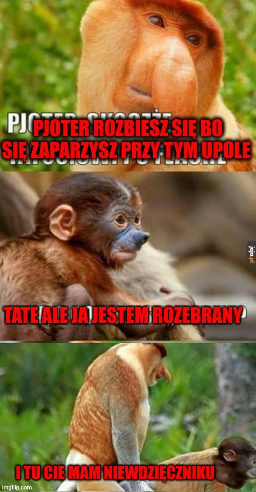 Dzieło sztuki #16981