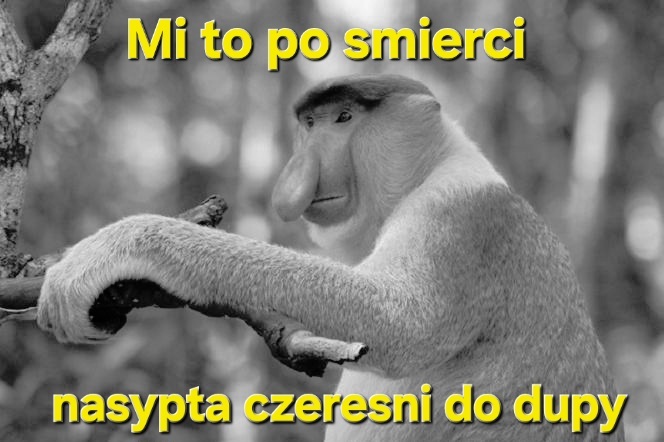 Dzieło sztuki #16985