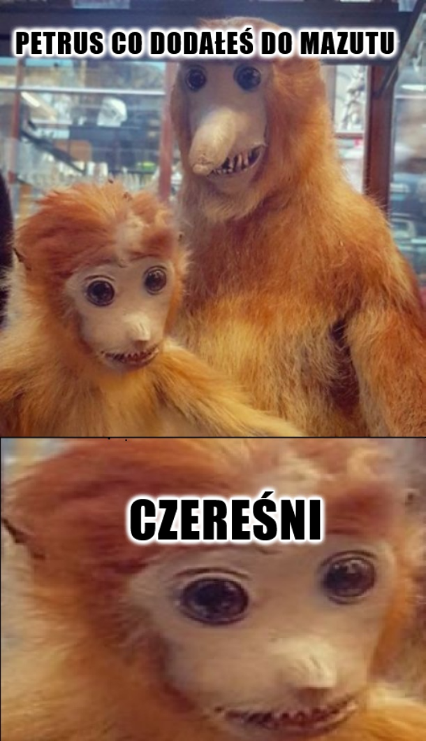 Dzieło sztuki #16991
