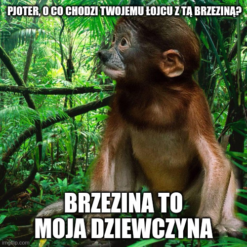 Dzieło sztuki #17002