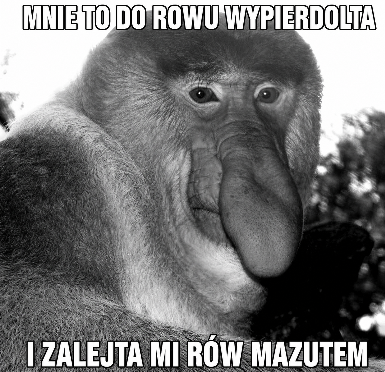 Dzieło sztuki #17003