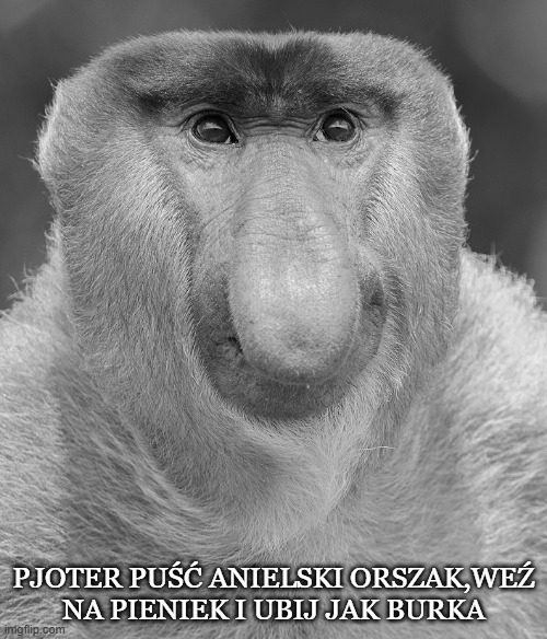 Dzieło sztuki #17008