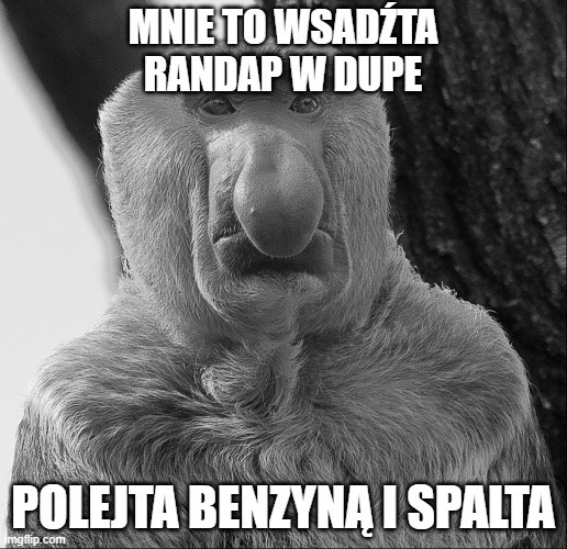 Dzieło sztuki #17012