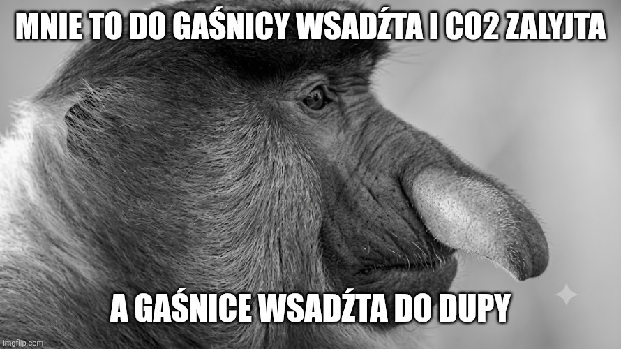 Dzieło sztuki #17028