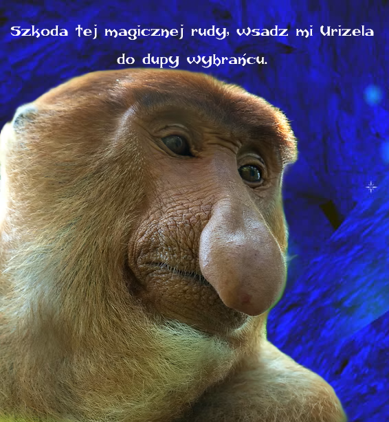 Dzieło sztuki #17031