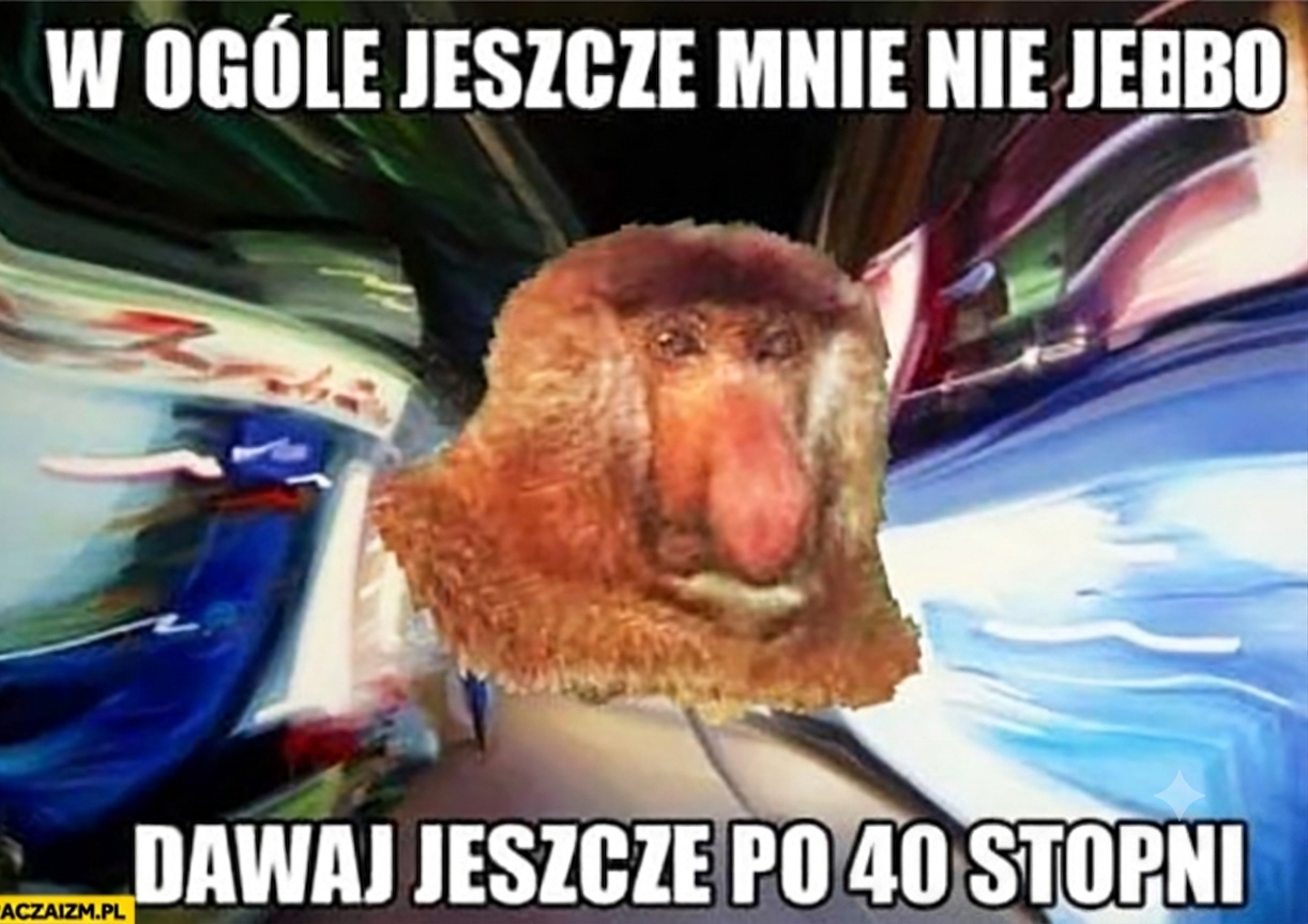 Dzieło sztuki #17033