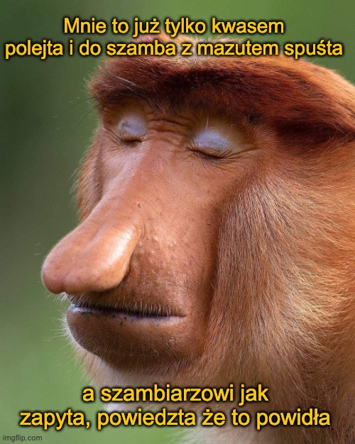 Dzieło sztuki #17035